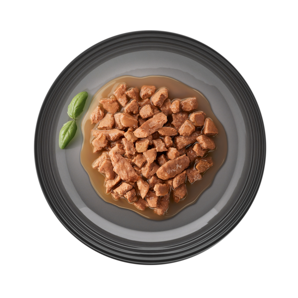 Plato de comida h&uacute;meda gato Ultima