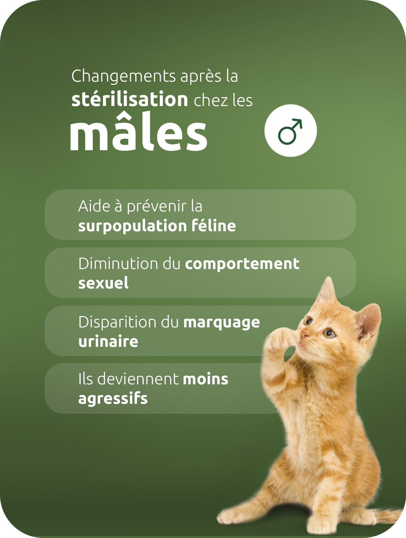 Que signifie la st&eacute;rilisation pour les hommes ?