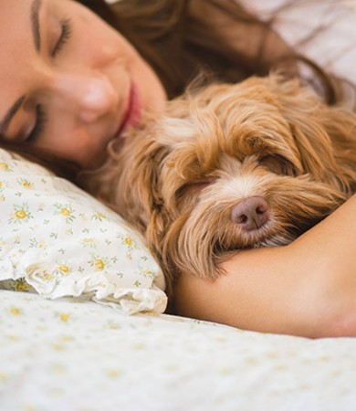 Image Link For Dormir avec son chien : bon ou mauvais ?