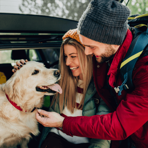 Image Link For Partir en vacances avec ou sans son chien