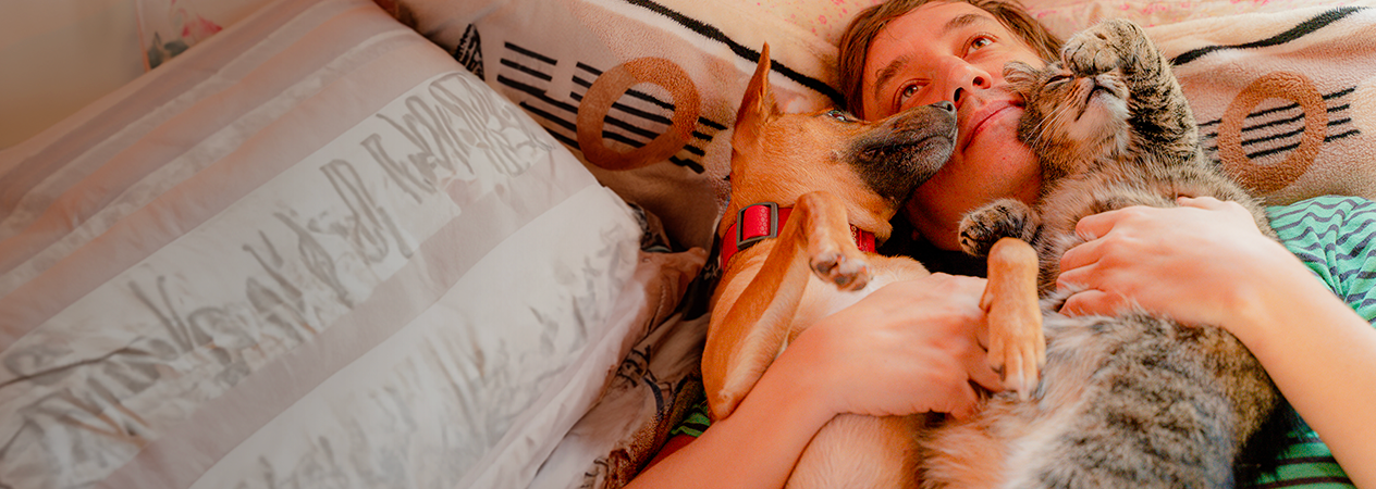 homme avec deux chiens