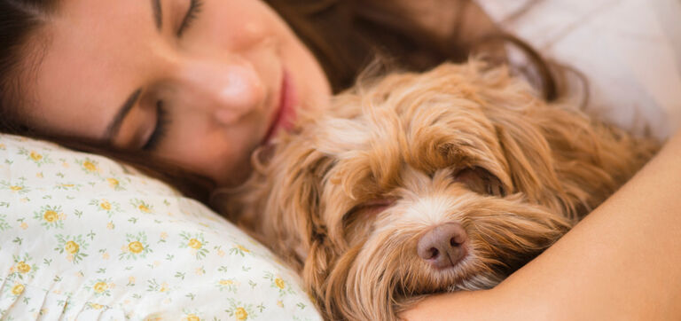 Dormir avec son chien : avantages et inconv&eacute;nients 