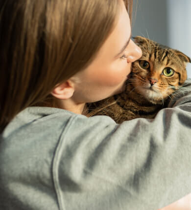 Image Link For Sant&eacute; d&rsquo;un chat adopt&eacute; : ce qu&rsquo;il faut savoir