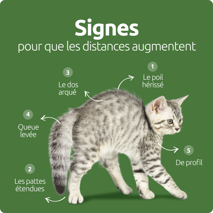 Signes pour que les distances augmentent