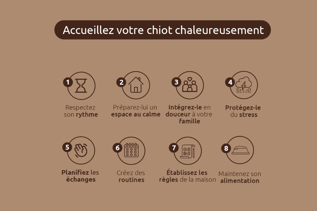 Bienvenue chez votre chiot