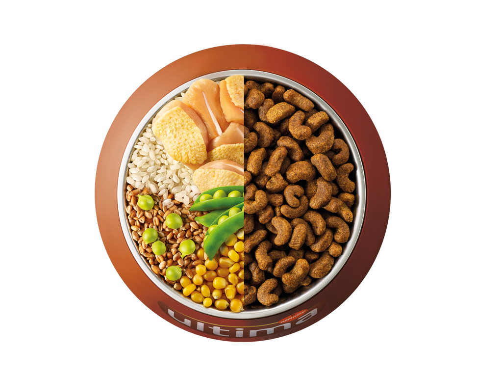 Poulet, riz, c&eacute;r&eacute;ales compl&egrave;tes et pois