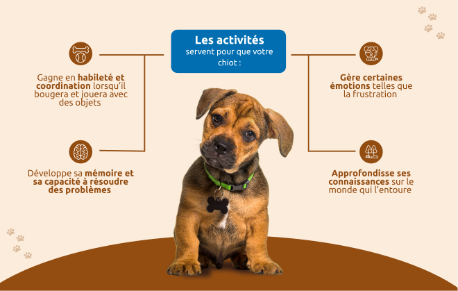A quoi servent les activit&eacute;s de votre chiot ?