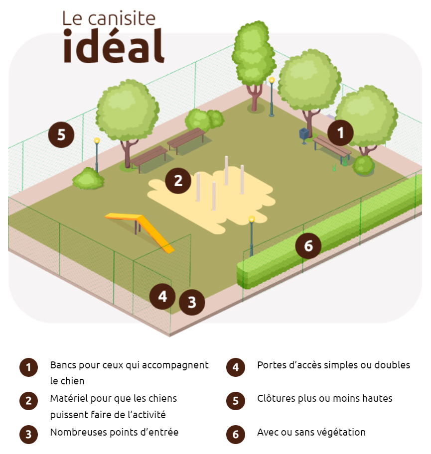 Le canisite id&eacute;al