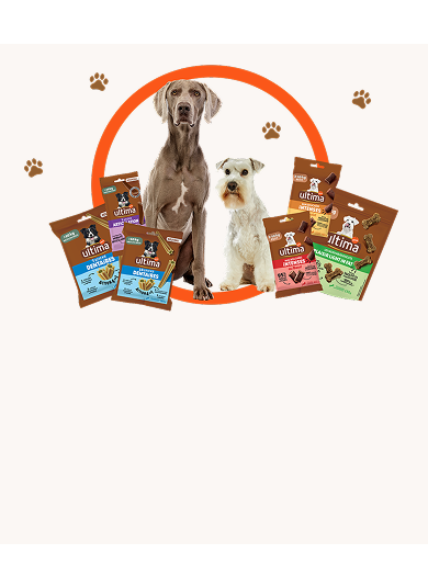 Landing snacks FR Banner snacks Desktop.png
