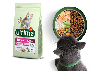 Ultima Junior pour chatons