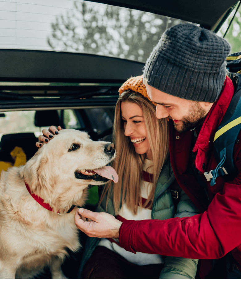 Image Link For Partir en vacances avec ou sans son chien