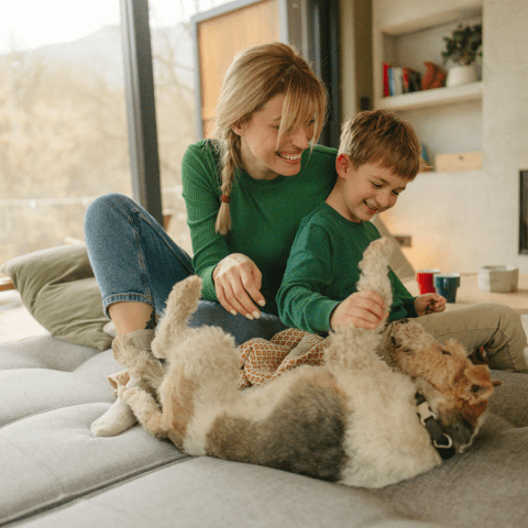 Image Link For Comment divertir son chien &agrave; la maison