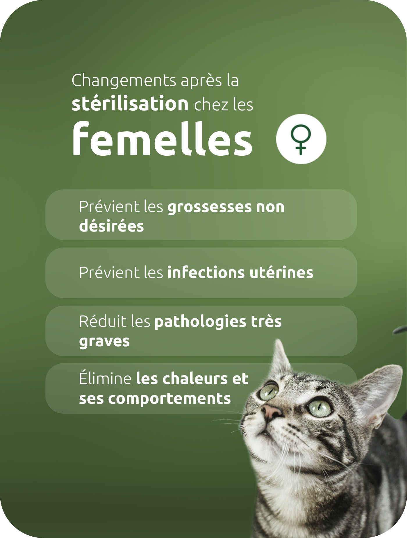 Que signifie la st&eacute;rilisation pour les femmes ?