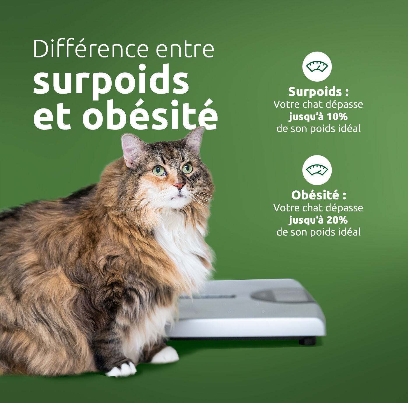 Diff&eacute;rence entre ob&eacute;sit&eacute; et surpoids