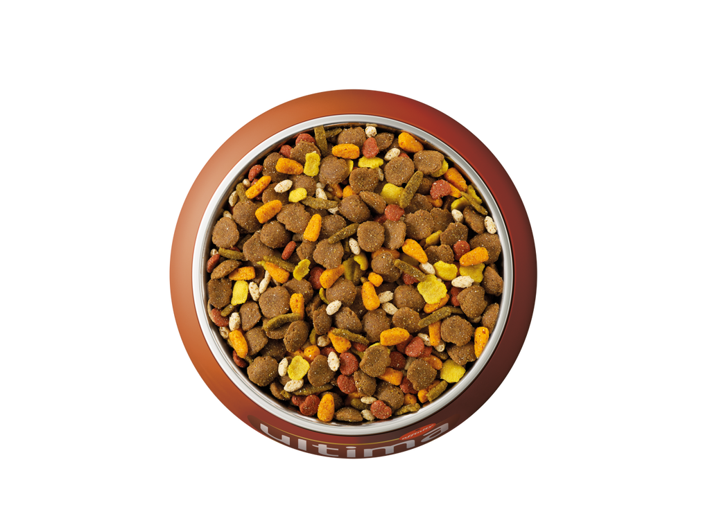 Au poulet, aux c&eacute;r&eacute;ales compl&egrave;tes, aux carottes, aux haricots verts et au riz