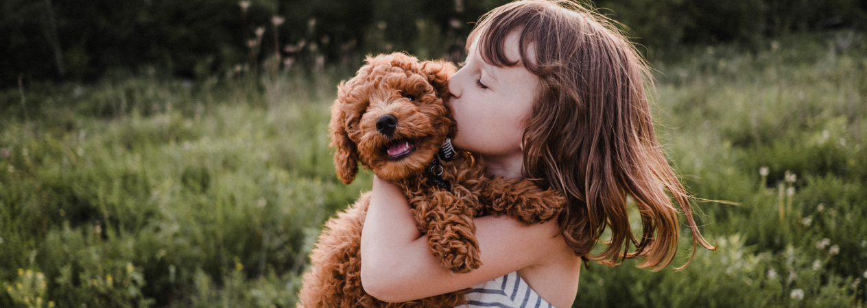 faire copain-copain avec votre chiot