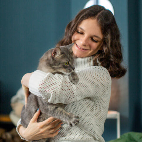Image Link For Pr&eacute;parer l&rsquo;arriv&eacute;e d&rsquo;un chaton chez soi