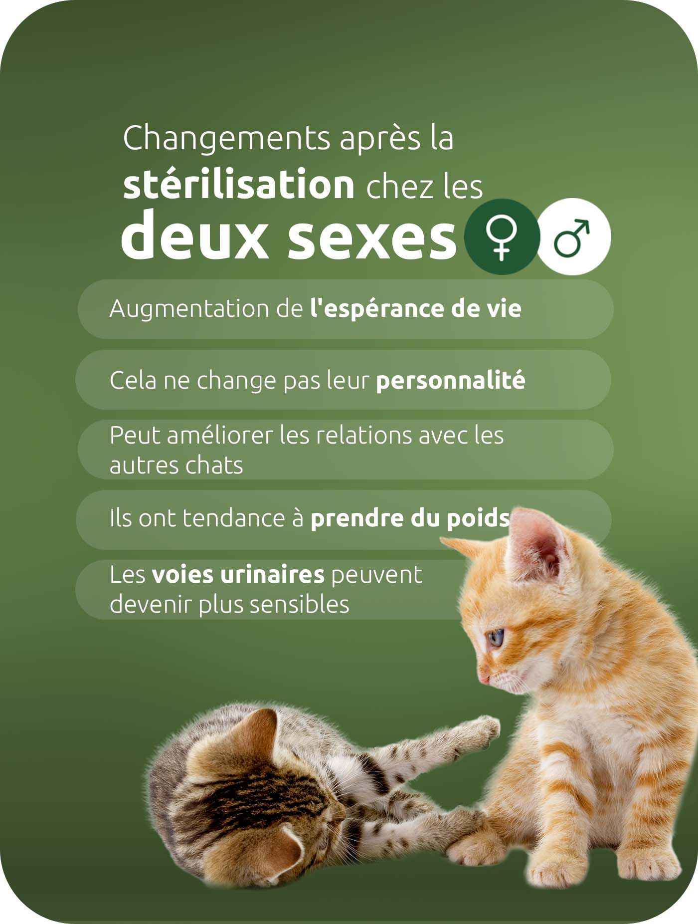 Que signifie la st&eacute;rilisation pour les deux&nbsp;?