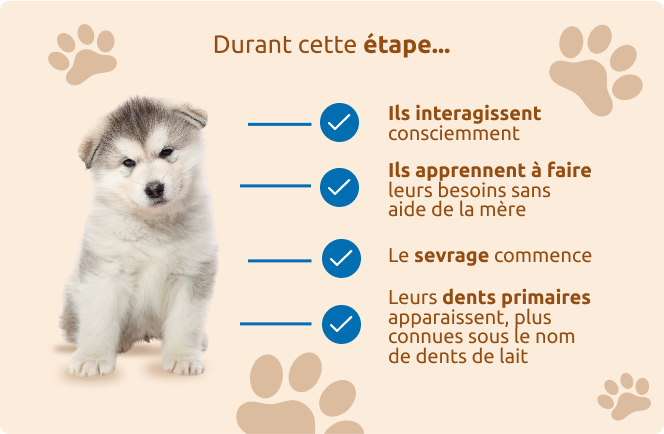 l&rsquo;&eacute;tape de socialisation