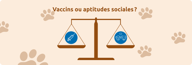 Equilibre du b&eacute;tail ou des comp&eacute;tences sociales