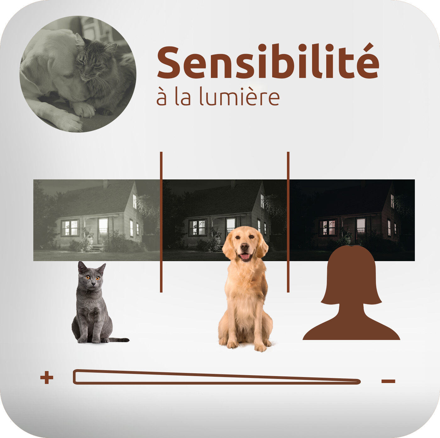 sensibilit&eacute; &agrave; la lumi&egrave;re