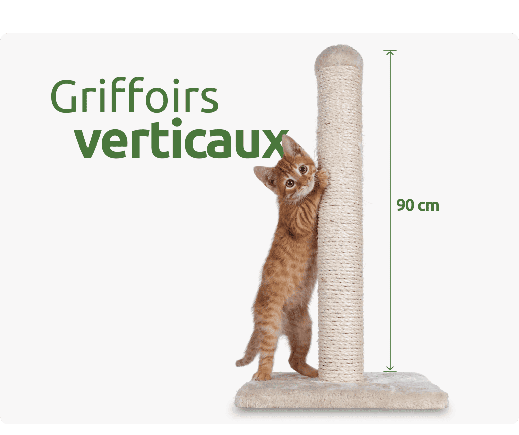 Griffoirs verticaux