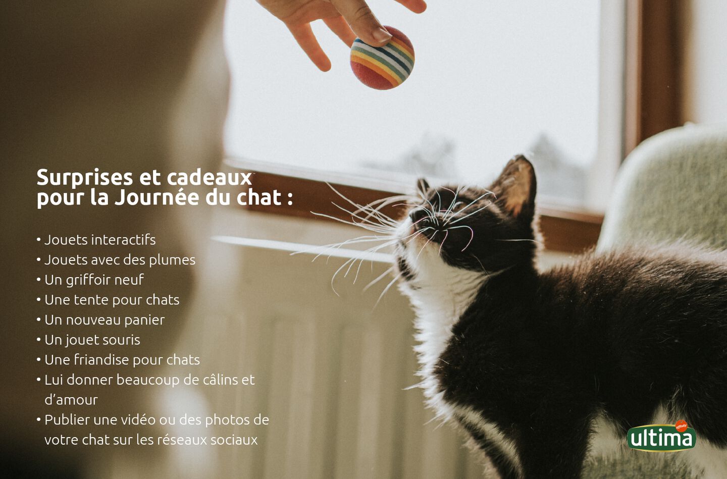 Photo d&rsquo;un chaton jouant avec une balle. 