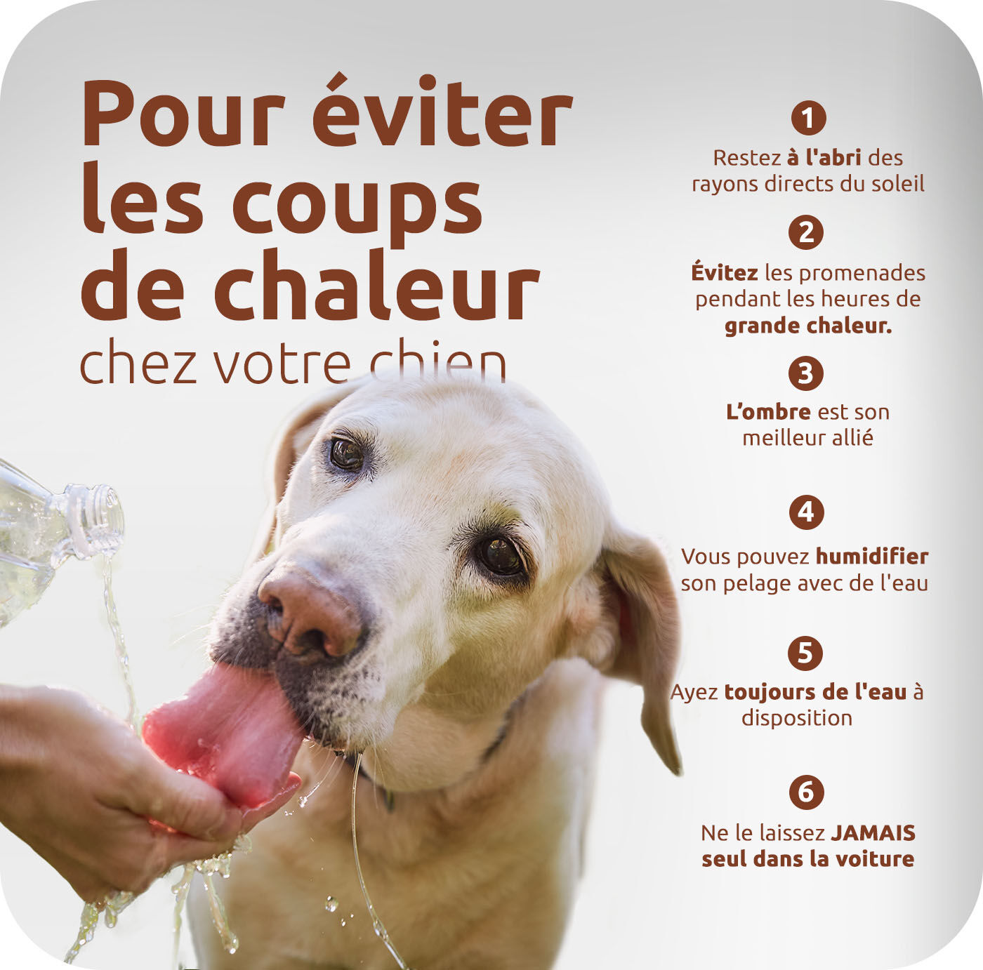 pour eviter les coups de chaleur