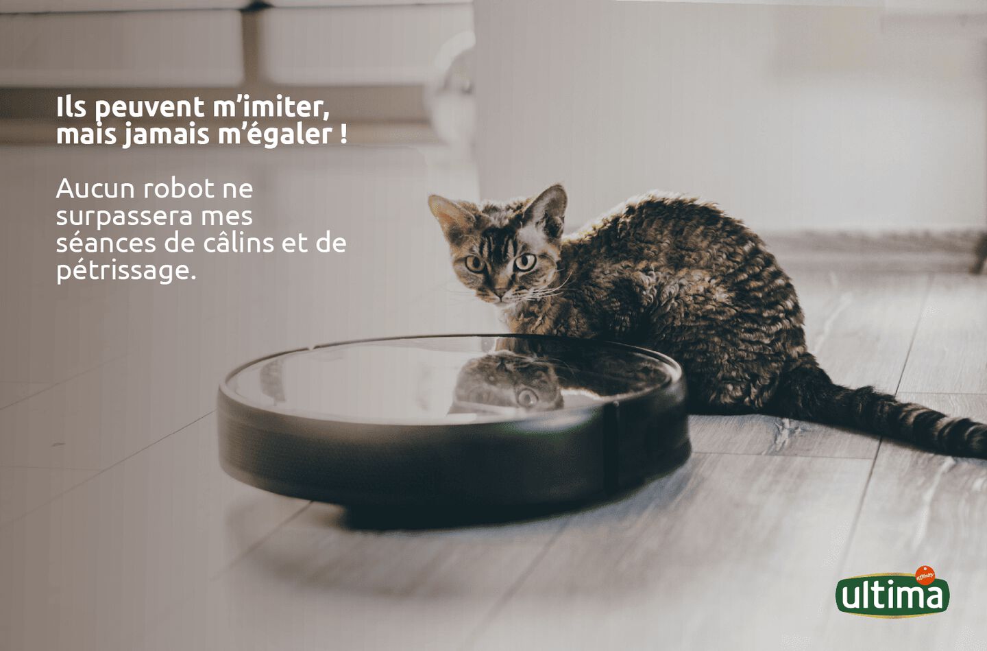 Photographie d&rsquo;un chat adulte regardant fixement devant lui, avec deux robots &eacute;quip&eacute;s de cam&eacute;ras &agrave; ses c&ocirc;t&eacute;s. Texte : Ils peuvent m&rsquo;imiter, mais jamais m&rsquo;&eacute;galer ! Aucun robot ne surpassera mes s&eacute;ances de c&acirc;lins et de p&eacute;trissage.