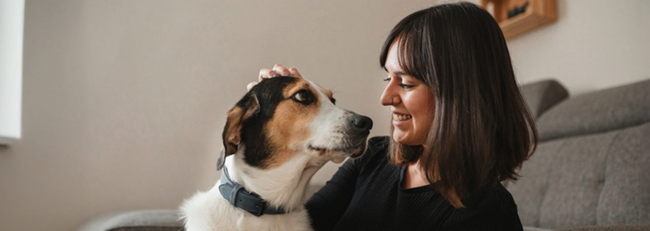 Combien de temps durent les chaleurs d'une chienne ?