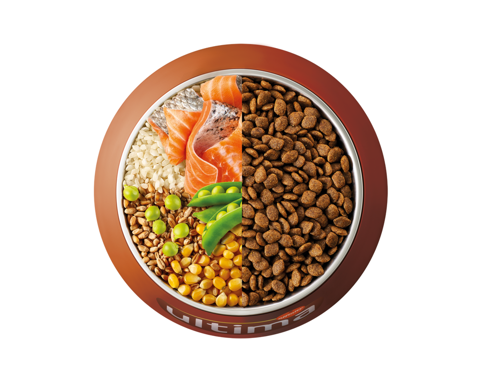Saumon, riz, c&eacute;r&eacute;ales compl&egrave;tes et pois