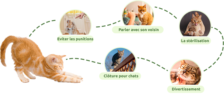 raisons pour lesquelles un chat s'&eacute;chappe