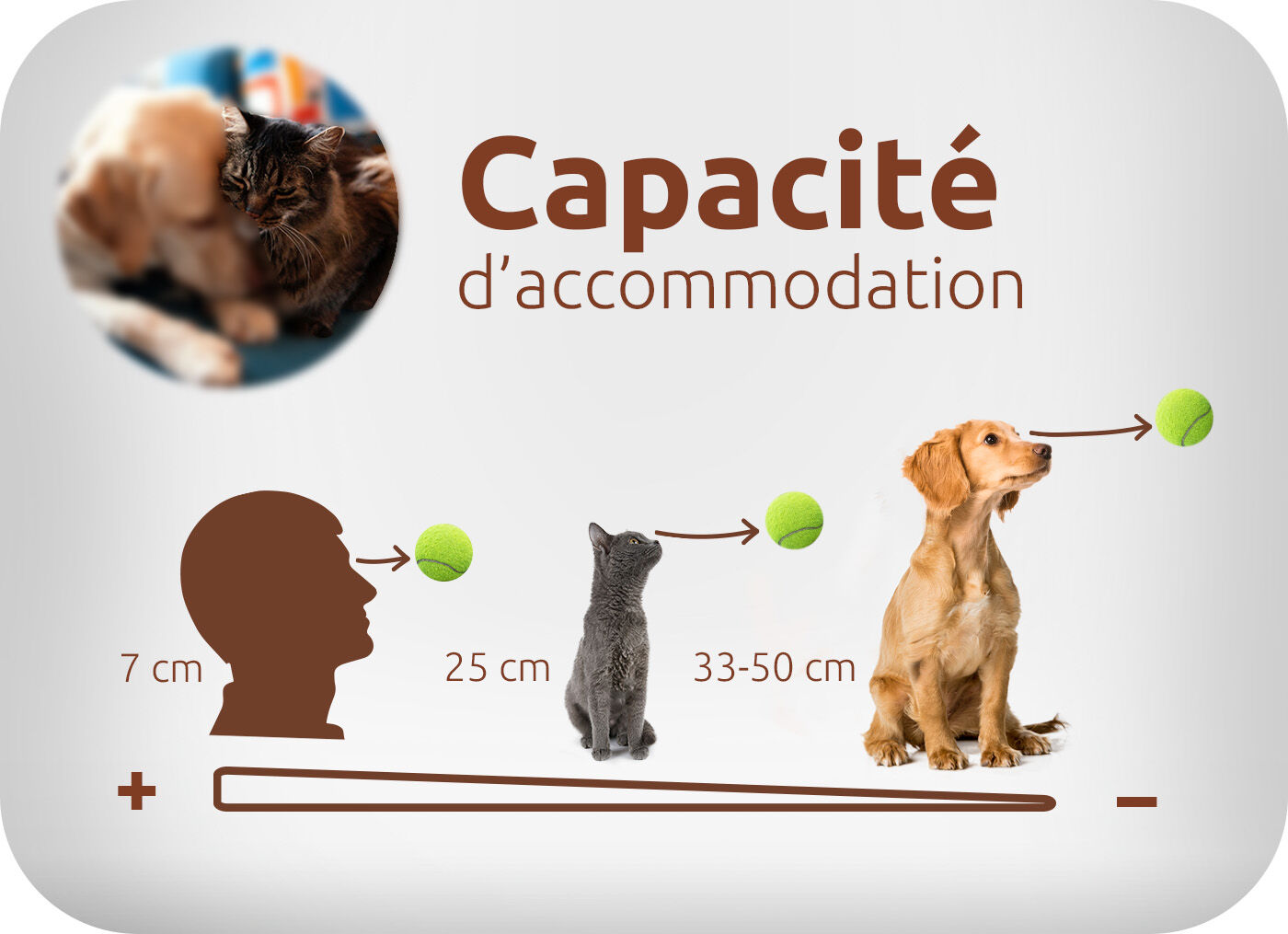 capacit&eacute; d'accomodation