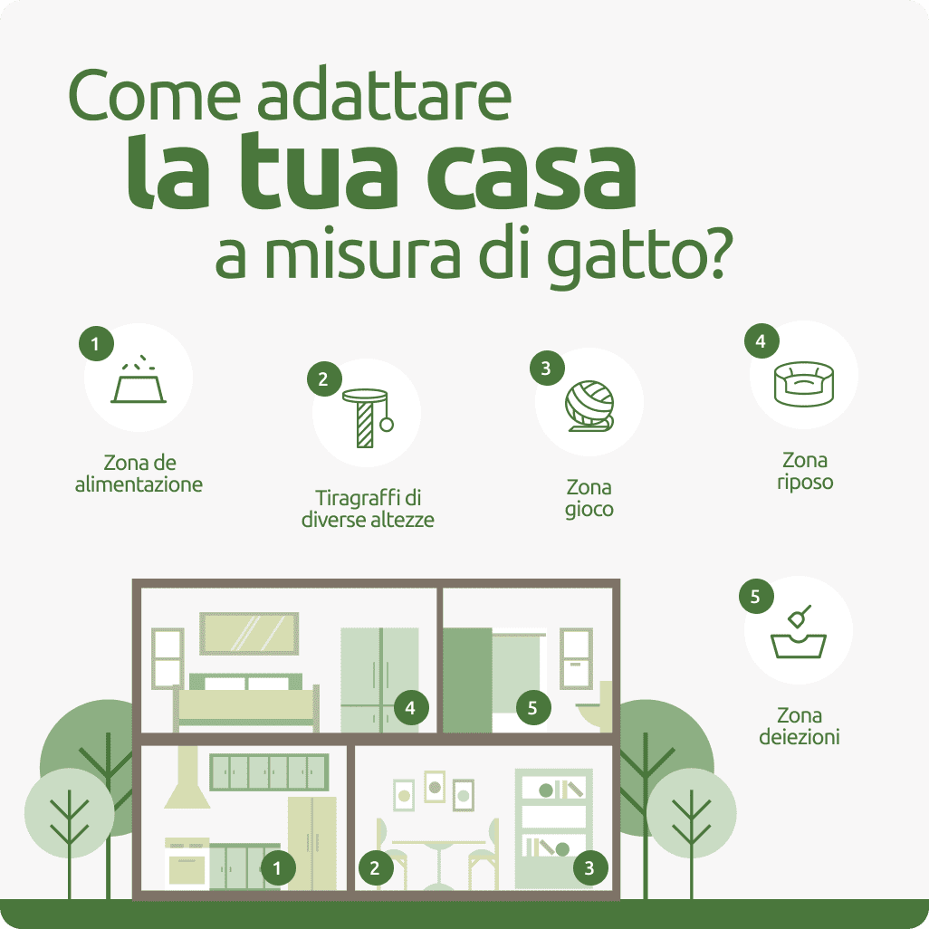 Adapter votre maison pour le bien-&ecirc;tre de votre chat