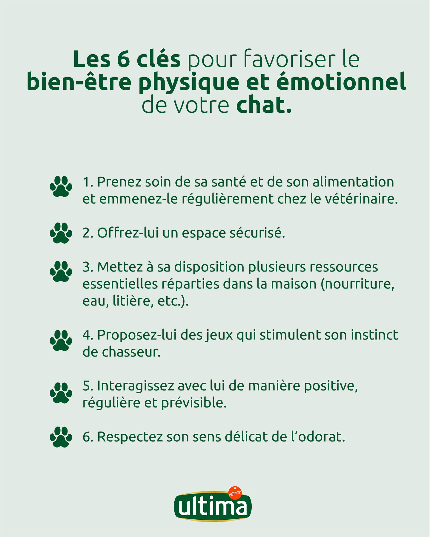 6 cl&eacute;s pour favoriser le bien-&ecirc;tre de votre chat
