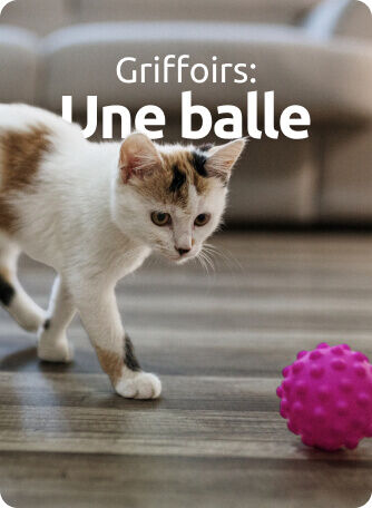 griffoirs