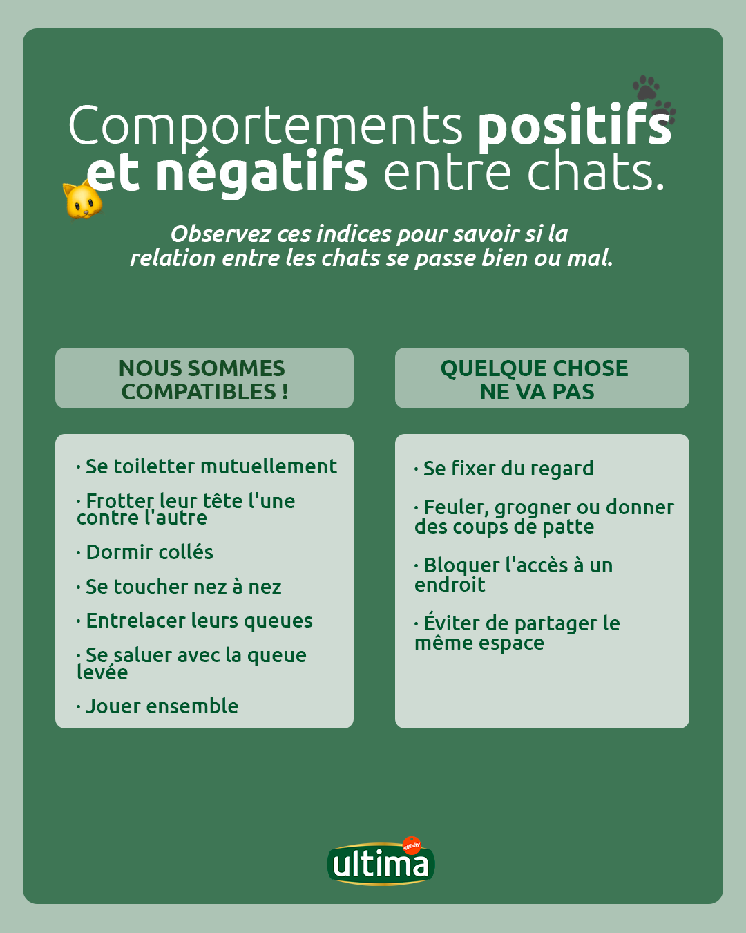 Comportements positifs et n&eacute;gatifs entre chats