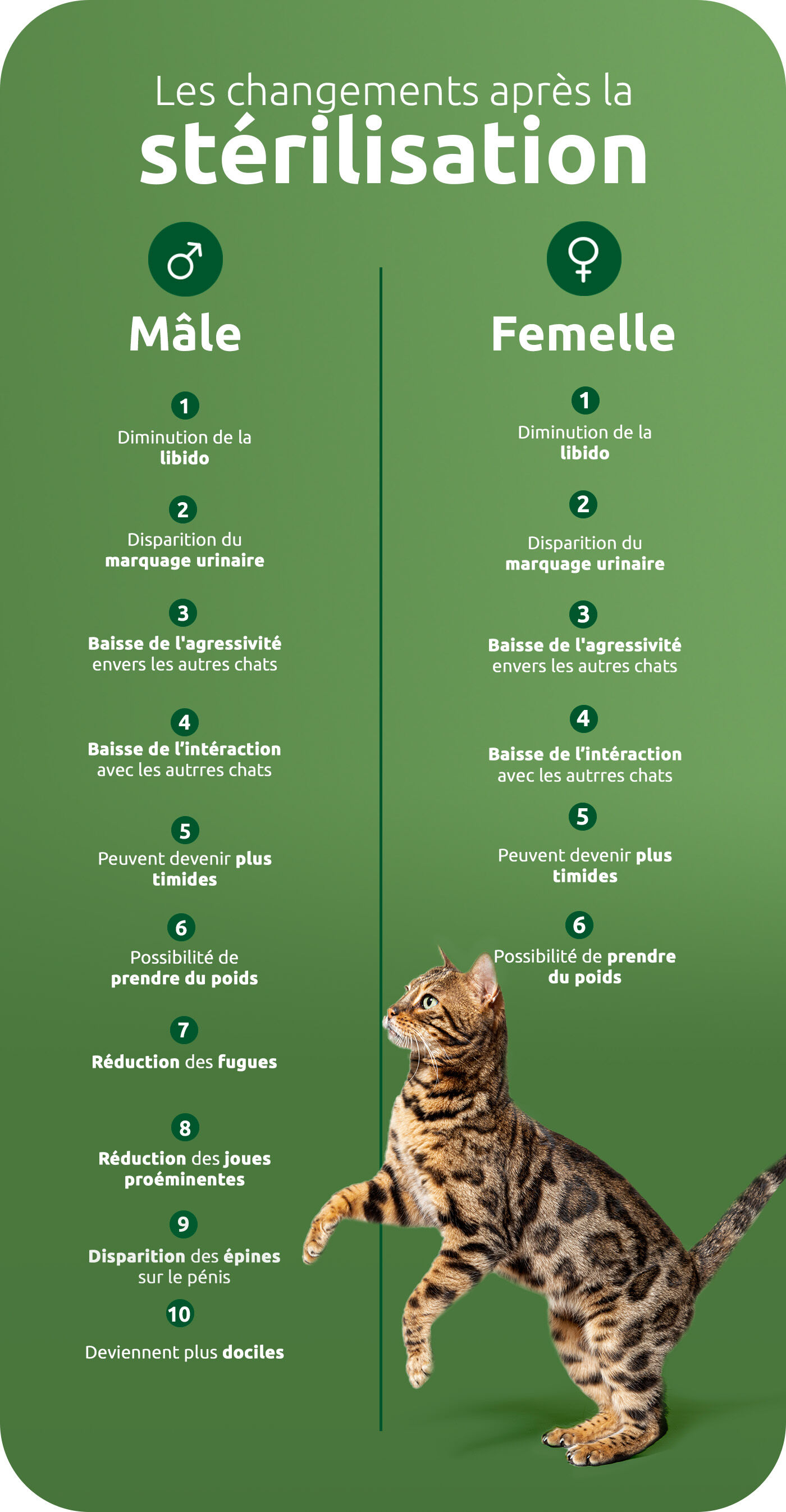 Les changements apr&egrave;s la st&eacute;rilisation
