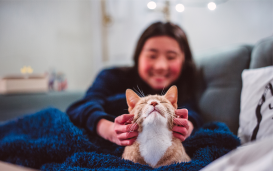 Pet parent sur le canap&eacute; caresse son chat
