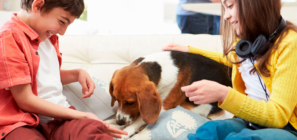enfants jouant avec un chien