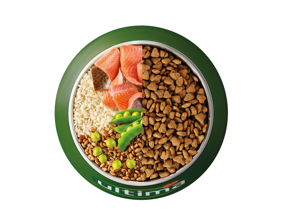 Truite, riz, c&eacute;r&eacute;ales compl&egrave;tes et pois