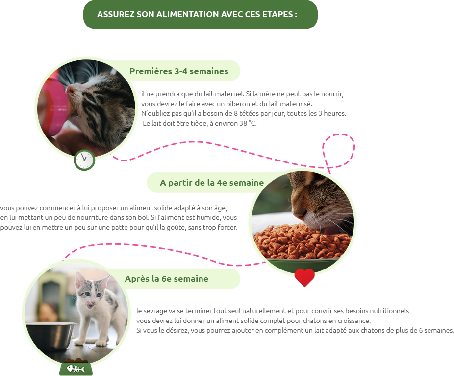 S&eacute;curisez votre alimentation avec ces &eacute;tapes