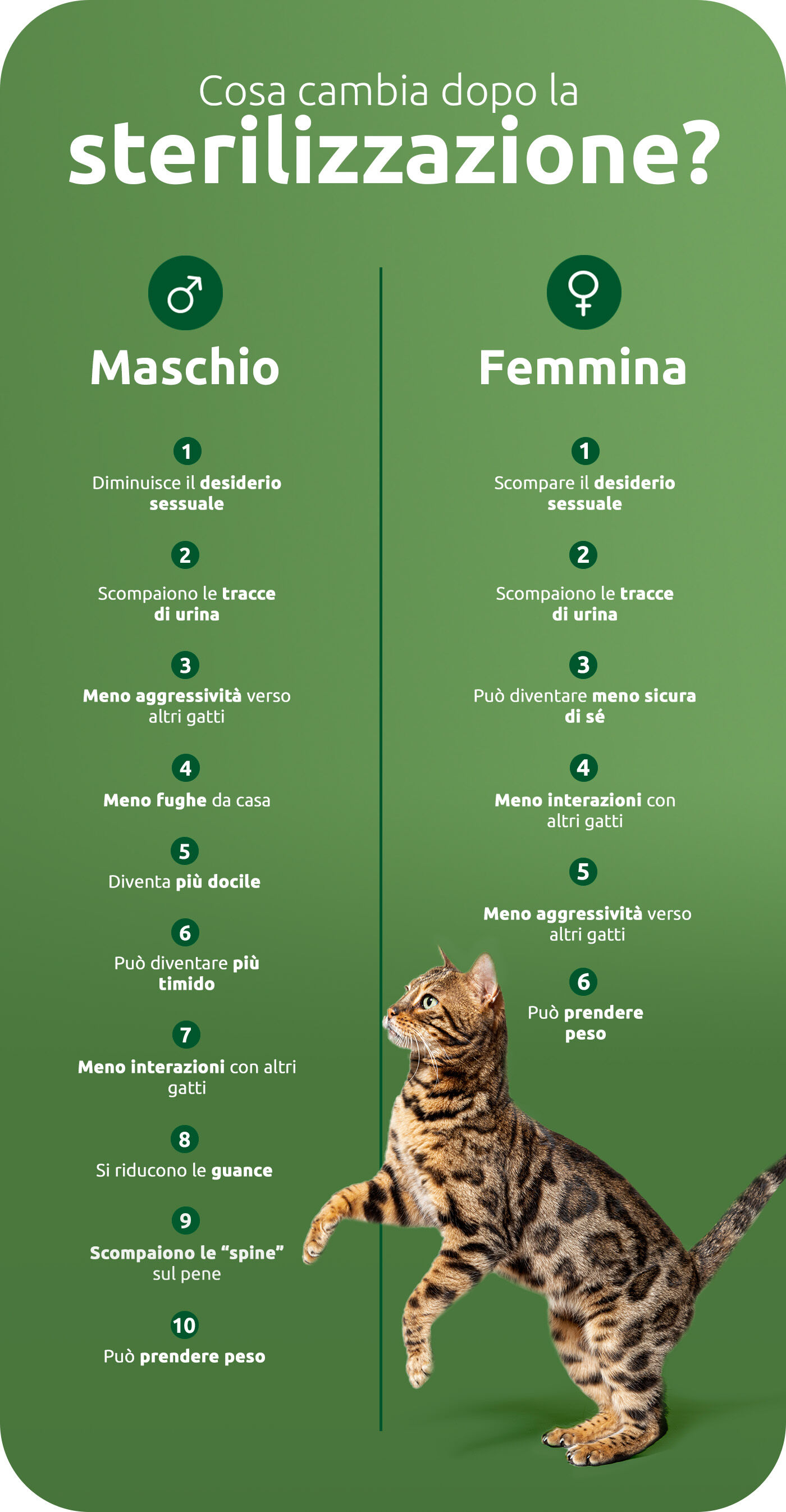 Cosa cambia dopo la sterilizzazione?