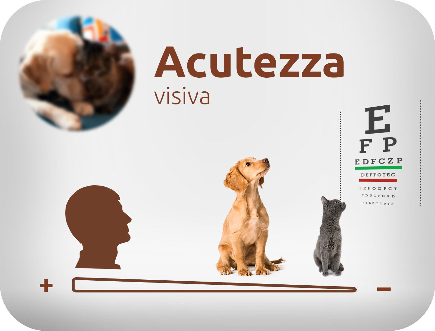 Acuit&agrave; visiva