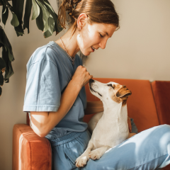 Image Link For Raccomandazioni per l'arrivo del tuo cane in casa