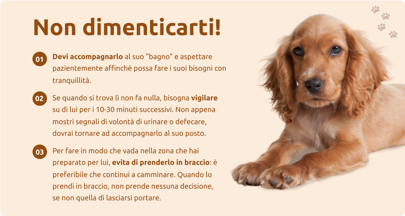 Non dimenticarti