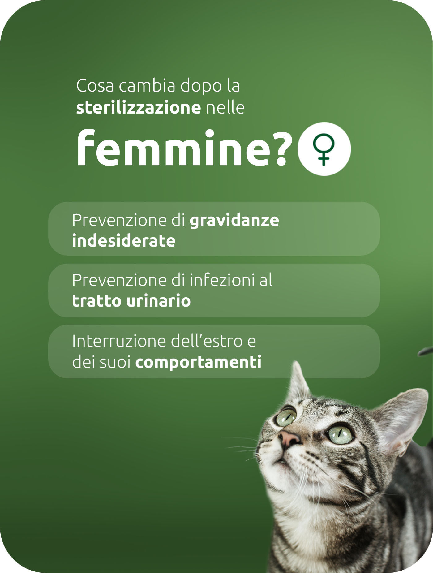 Cosa significa la sterilizzazione per le donne?