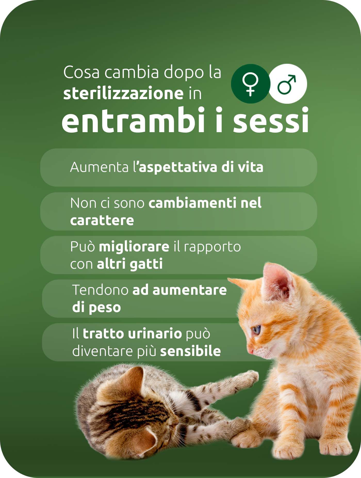 Cosa significa sterilizzazione per entrambi?