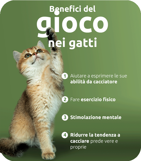 benefici del gioco