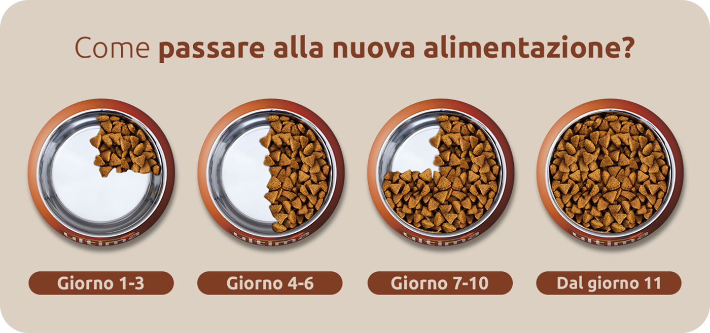 come passare alla nuova mail istruzionealimentazione?